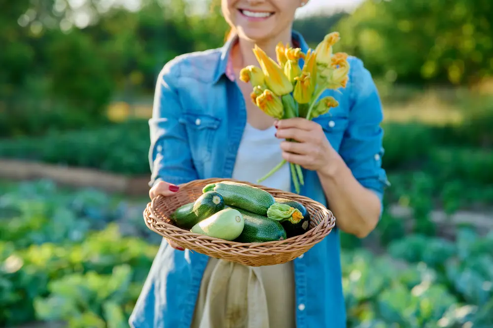 calabacin mujer con zucchini entero en el campo