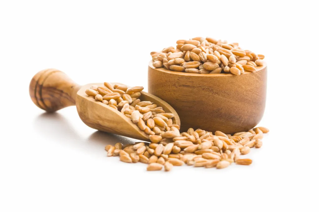 espelta cucharon y bowl de madera con granos de trigo