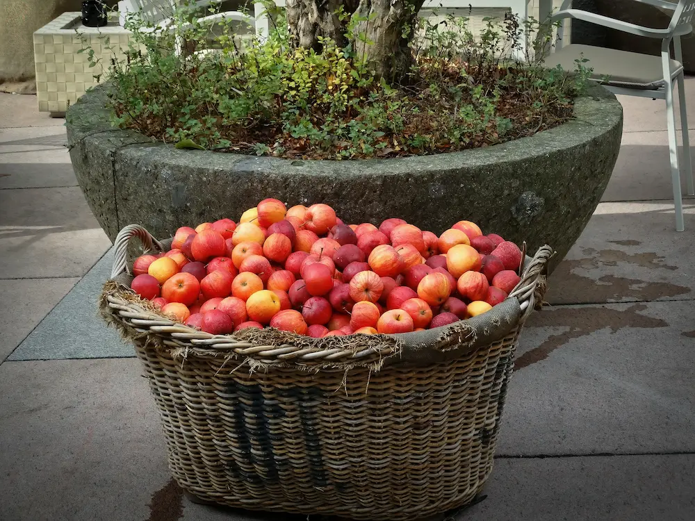 fruta con fibra cesta con manzanas