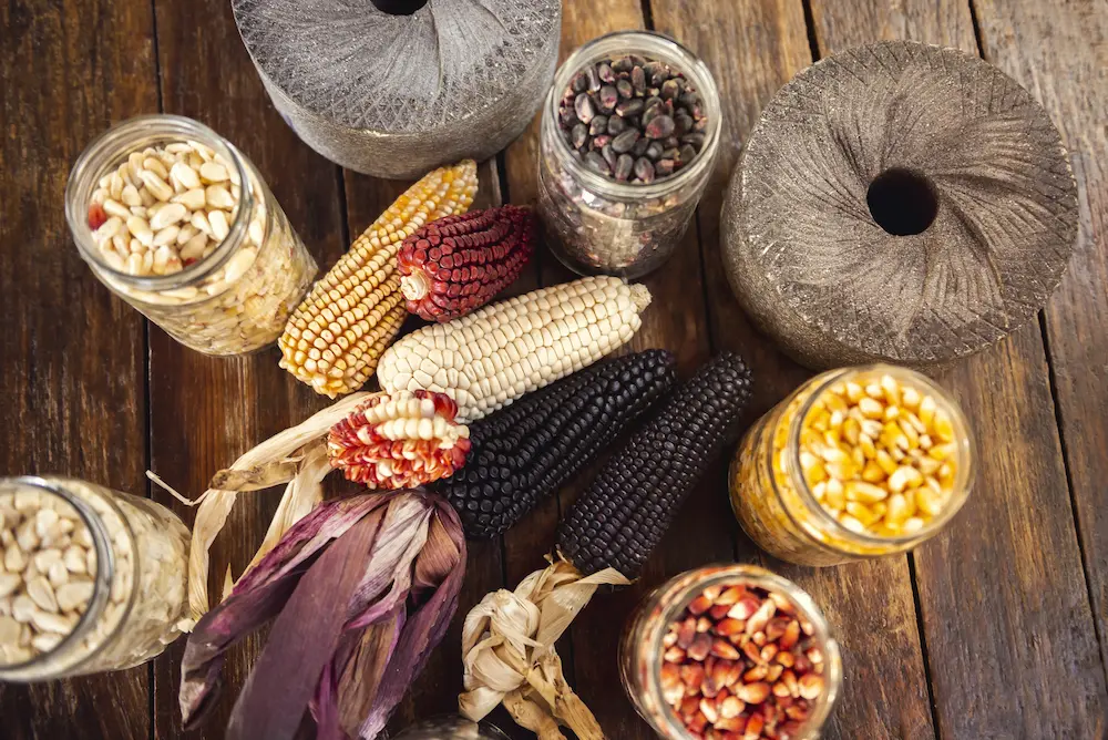 maiz mote variedad de granos sobre la mesa